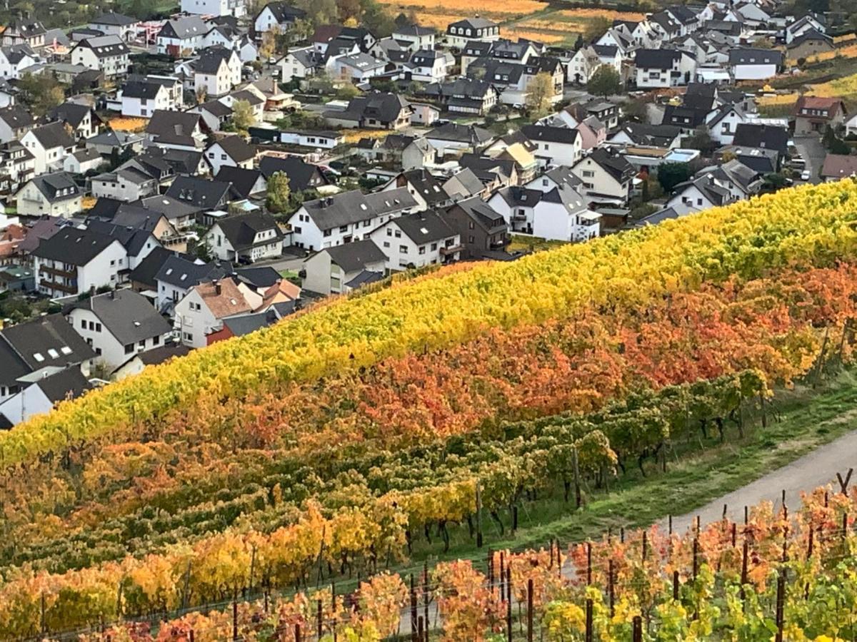 Rheinvilla Arte Remagen Bagian luar foto