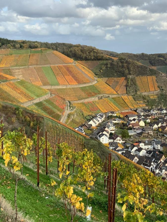Rheinvilla Arte Remagen Bagian luar foto
