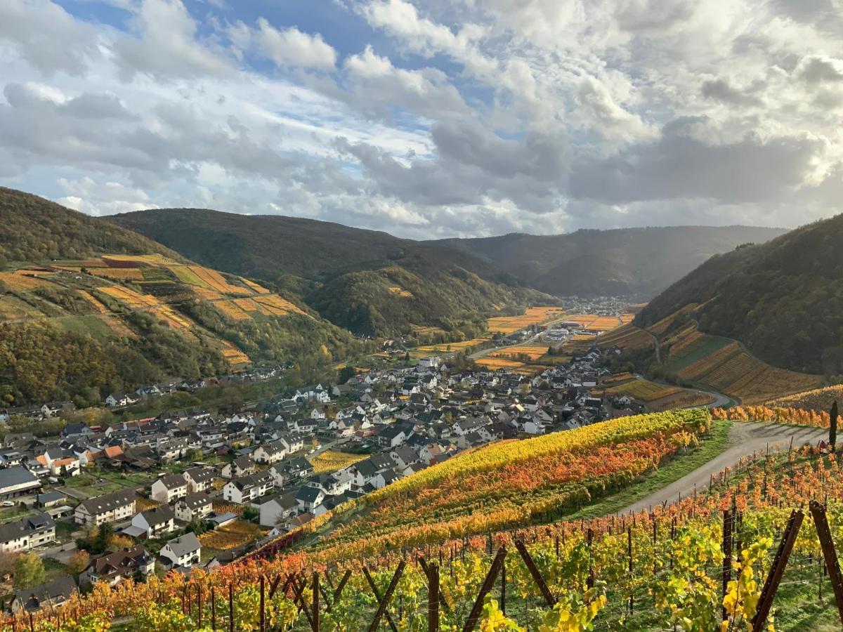 Rheinvilla Arte Remagen Bagian luar foto