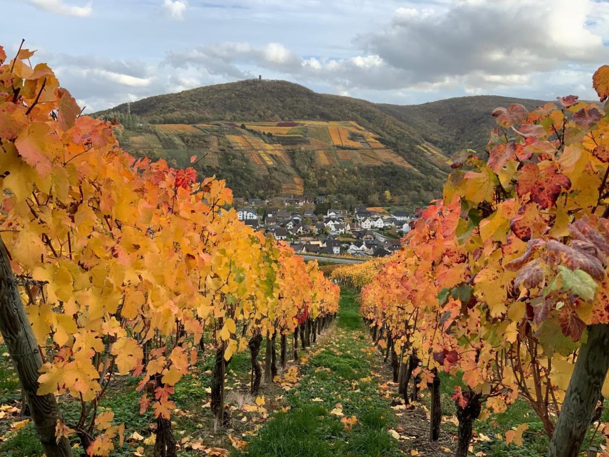 Rheinvilla Arte Remagen Bagian luar foto